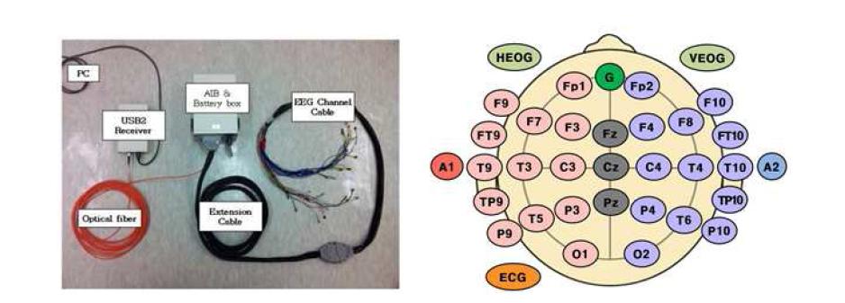 BioSEMI EEG 장치 및 비자성 전극 장치 BioSEMI EEG 장치의전극 배치도.