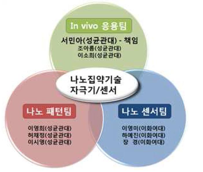 연구개발 수행 체계