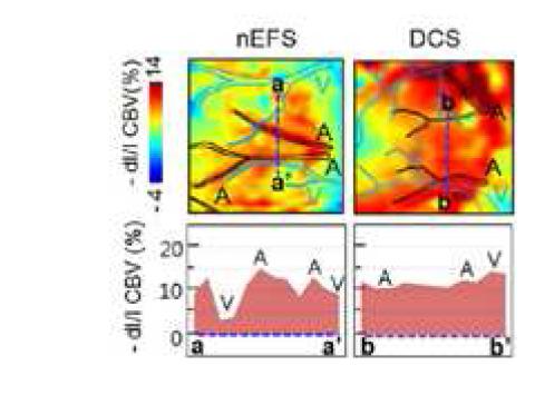 Platinum electrode patternized stimulator로 설계된 non-contact electrical field stimulation (nEFS) 와 일반 direct current stimulation (DCS) 로 전기 자극을 준 결과. DCS로 전기자극을 주었을 때와는 달리 nEFS로 자극을 주었을 때는 CBV의 증가가 국소적임. (Heo C et al. ACS nano 2013에서 발췌)