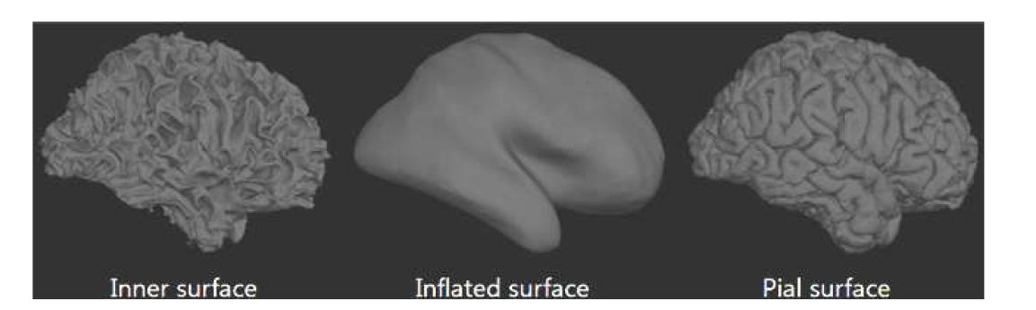 본 그림은 surface 및 volume 전처리 과정을 통해 계산된 white matter 및 pialboundary 그리고 subcortical segmentation 결과를 기반으로 한 inner surface(좌측)과 이에 대한 inflated surface(중간) 그리고 pial surface(우측) 구축 결과를 나타냄.