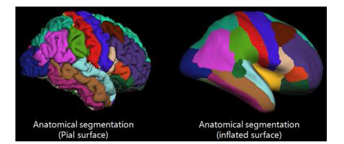 본 결과는 volume 기반 Talairach atlas로 뇌 볼륨 영상 registration 한 후, braincortex 뿐 만 아니라 subcortical 영역에서의 anatomical labeling을 수행한 결과임