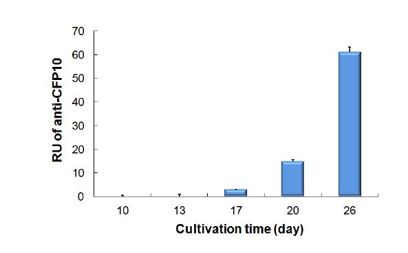 104 /ml 접종된 배양액으로부터 배양시간에 따른 CFP-10 항원의 검출력을 SPR로 측정한 결과