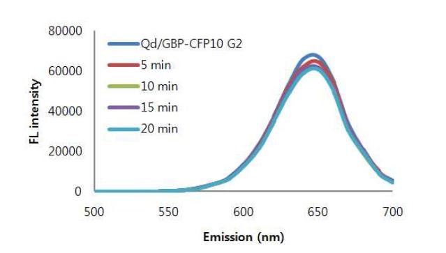 CFP10항원에 대한 반응시간에 따른 스펙트럼 변화를 나타내는 그래프.