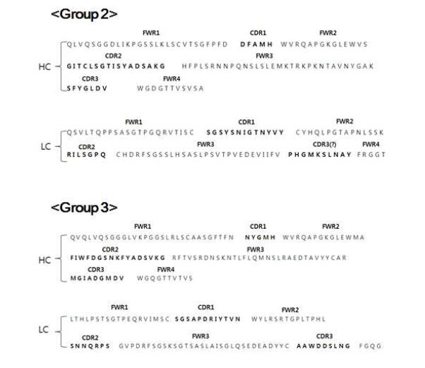Sequences of Fab region of two anti- CFP- 10 monophages
