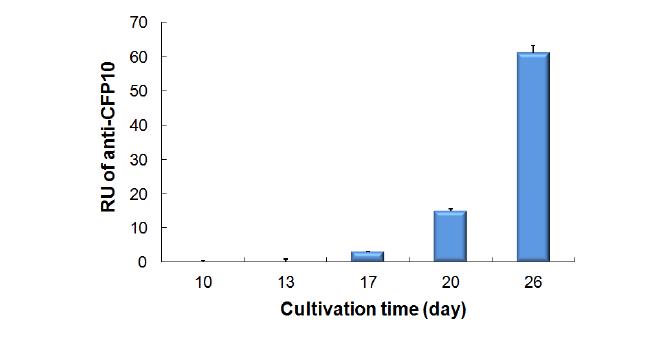 104 /ml 접종된 배양액으로부터배양시간에 따른 CFP-10 항원의 검출력을SPR로 측정한 결과