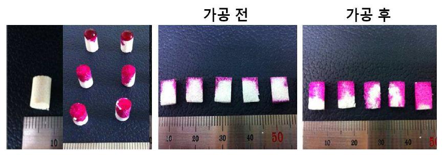 줄기세포 유도물질이 encapsulation 되어 있는 지지체