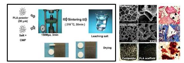 (좌) novel sintering 기법을 이용한 생리활성 골 지지체 제조법, (우) 생리활성 골 지지체와 이를 이용해 재생된 골 조직의 조직화학적 염색사진