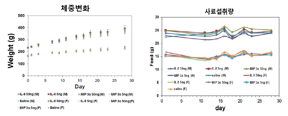 MIP-3α와 IL-8를 투여한 SD Rat의 체중변화(좌) 및 사료섭취량(우)