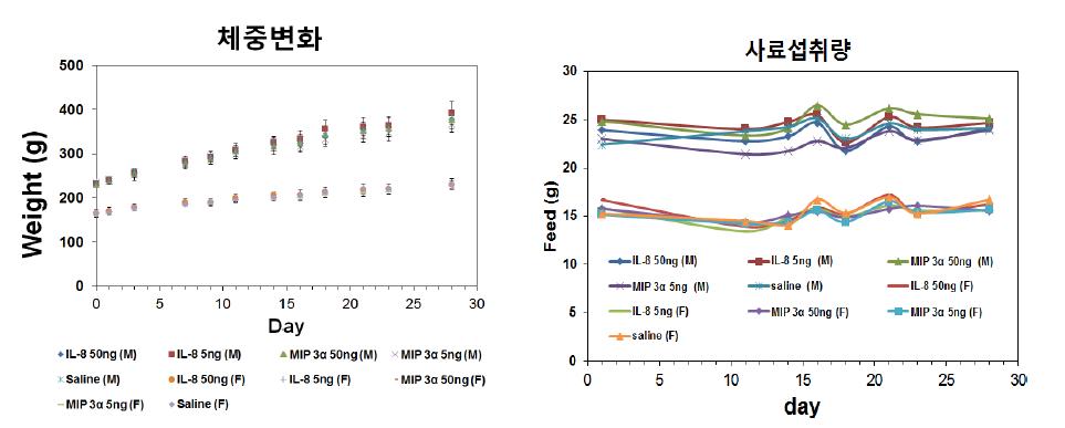 MIP-3α와 IL-8를 투여한 SD Rat의 체중변화(좌) 및 사료섭취량(우)