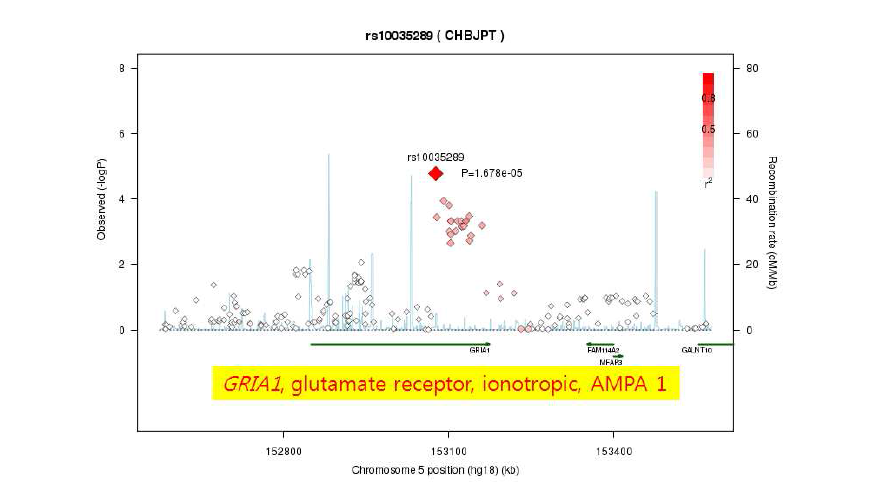 GRIA1 유전자의 rs10035289 SNP 주위의 associated region 내 우울증 취약성 관련 - logP peaks.