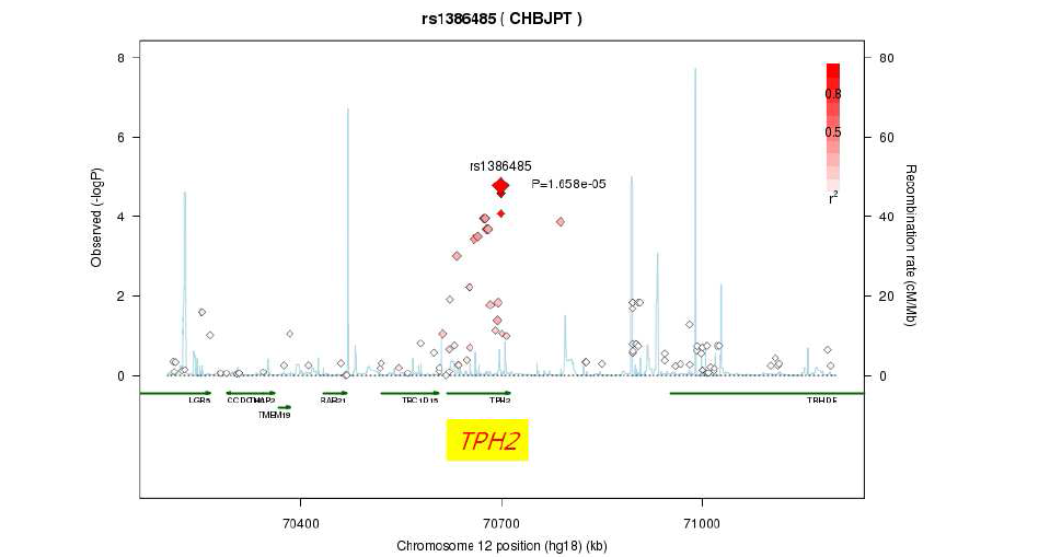 TPH2 유전자의 rs1386485 SNP 주위의 associated region 내 항우울제 치료반응 관련 - logP peaks.