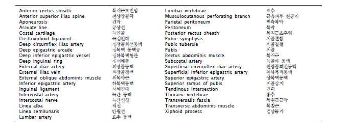 Korean translational language of anatomical muscles, vessels and nerves in the abdominal region.