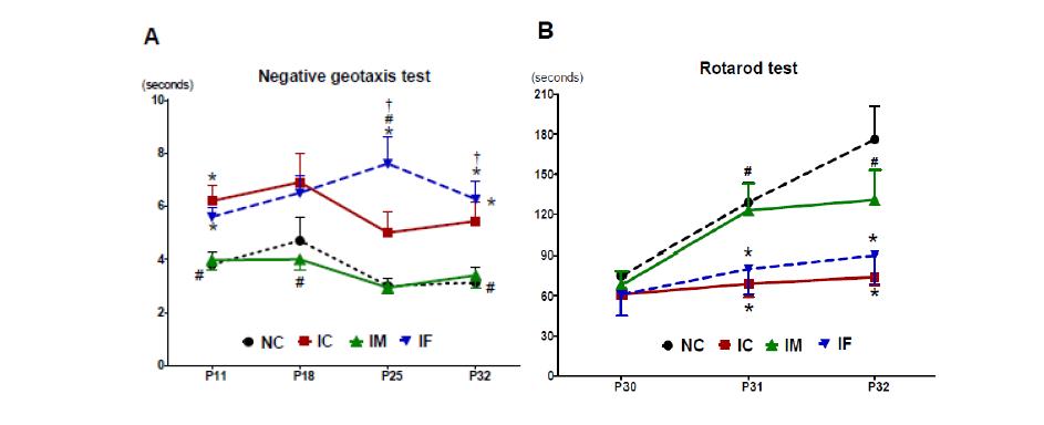 Behavior function tests; negative geotaxis test, rotarod test