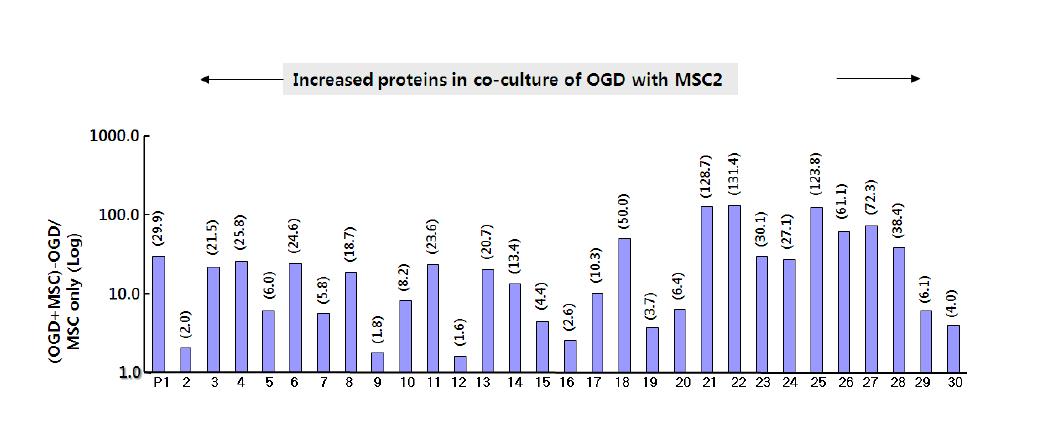 MSC2에서 분비가 증가되는 30종 단백질