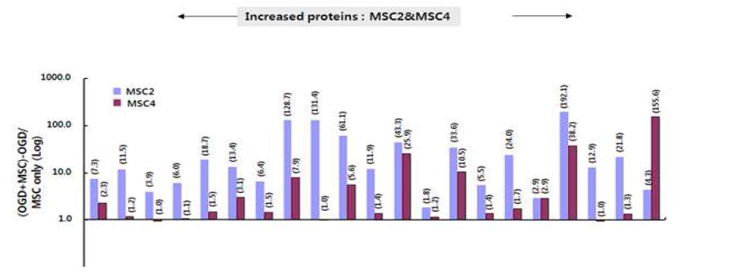 MSC4에 비해 MSC2에서 분비가 증가된 24 종 단백질□ 고효능 줄기세포에서 분비되는 치료관련 단백질의 효과 재검증