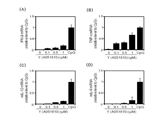 Screening effect of Y- DNA. RAW264.7 cells were treated with (A), (B), (C), (D) Y- DNA 0.1, 0.5, 1 μM, CpG1668 0.1 μM 4hrs. real- time PCR performed using individual samples from Veh, X- DNA 0.1, 0.5, 1 μM, CpG1668 0.1 μM.