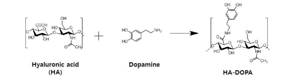 히아루론산(HA)에 dopamine을 도입하는 화학반응식