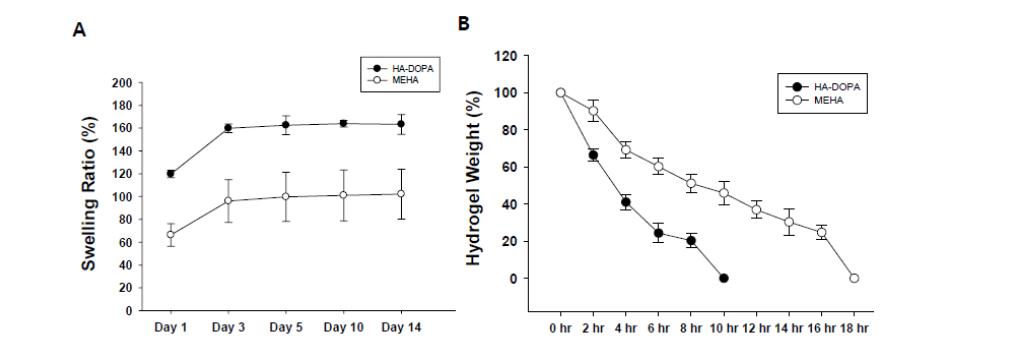 (A) HA- DOPA 하이드로젤의 팽윤성(swelling ratio) 측정. (B) 효소(hyaluronidase)처리 시 HA- DOPA 하이드로젤의 분해 거동.