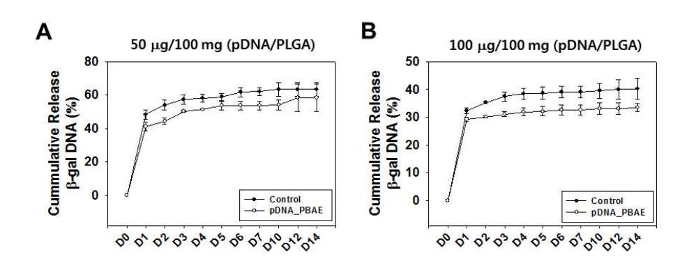 PLGA 나노파티클 내에 봉입된 plasmid 유전자 방출 거동 분석.