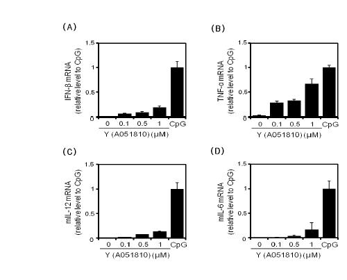 Screening effect of Y- DNA. RAW264.7 cells were treated with (A), (B), (C), (D) Y- DNA 0.1, 0.5, 1 μM, CpG1668 0.1 μM 4hrs. real- time PCR performed using individual samples from Veh, X- DNA 0.1, 0.5, 1 μM, CpG1668 0.1 μM.