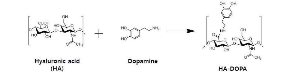 히아루론산(HA)에 dopamine을 도입하는 화학반응식