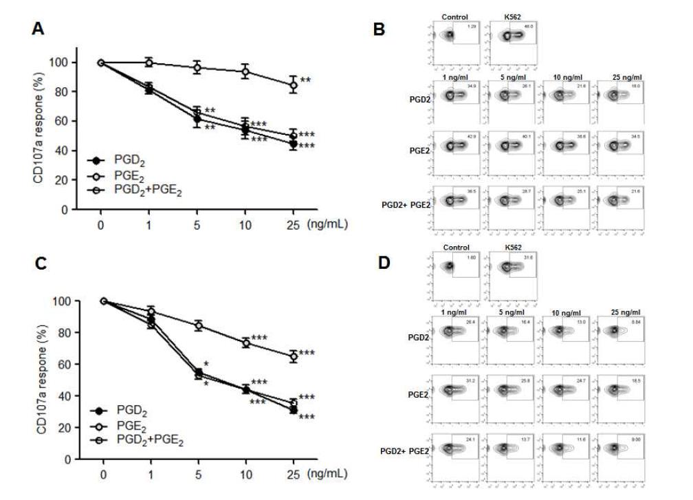 PGD2와 PGE2가 NK 세포의 Degraulation 활성에 미치는 영향 평가.