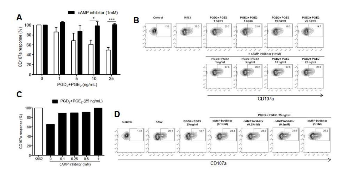 PGD2와 PGE2 에 의해 억제되는 NK 세포의 degraulation 활성이 cAMP inhibitor에 조절되는지 여부 평가.