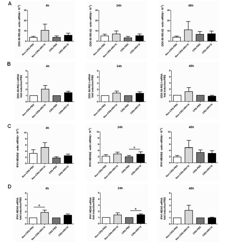 대조군과 만성 부비동염 환자군에서 시간대별 RNA helicase mRNA 발현량.