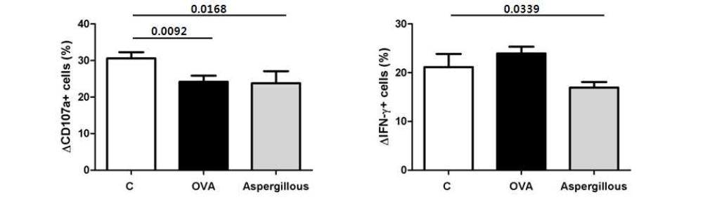 In vivo CRS mouse model에서 NK cell 활성 분석