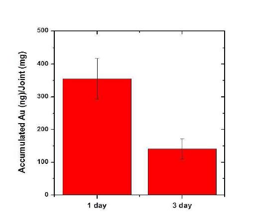 시간에 따른 류마티스 관절염 부위의 나노입자의 정량적 측정양 (ICP-MS 측정)