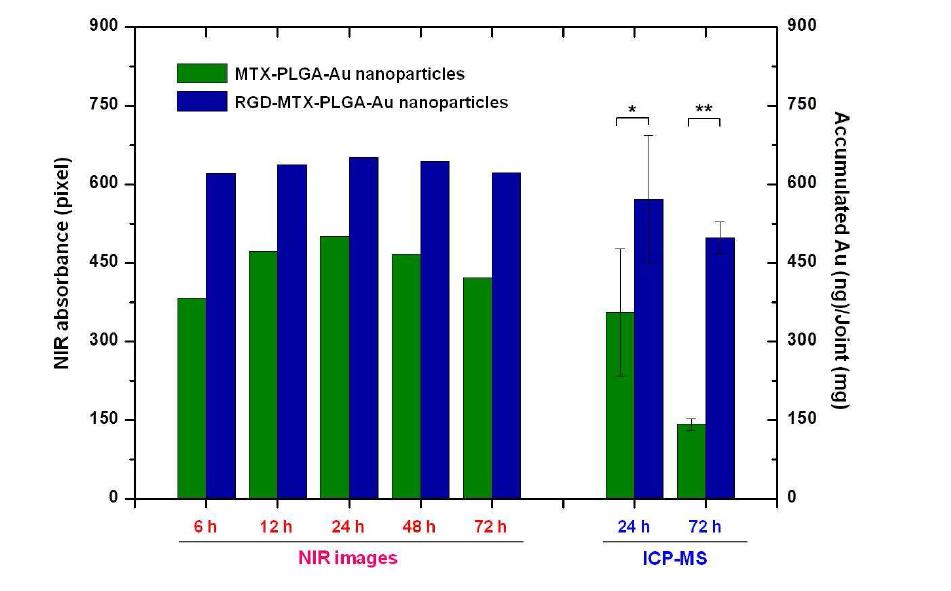 시간에 따른 류마티스 관절염 부위의 나노입자의 정량적 측정양