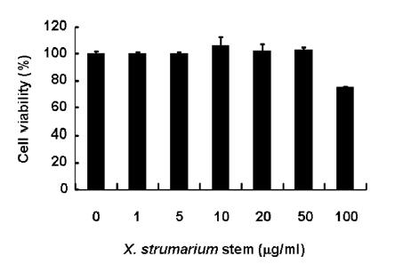 창이자추출물이 cell viability에 미치는 영향