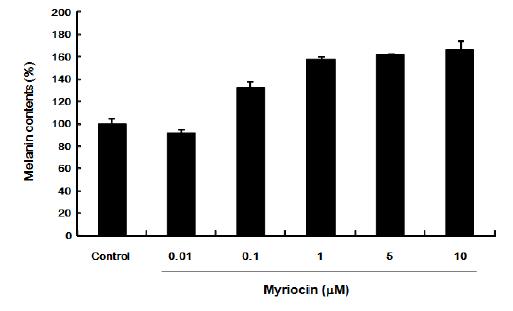 Myriocin의 처리가 Mel-Ab 세포의 색소합성 증가효과