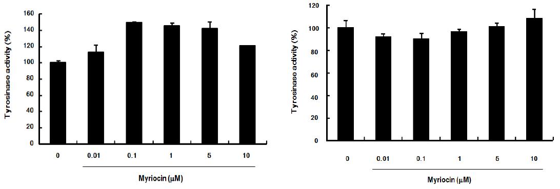 Myriocin 처리가 tyrosinase 활성에 미치는 영향