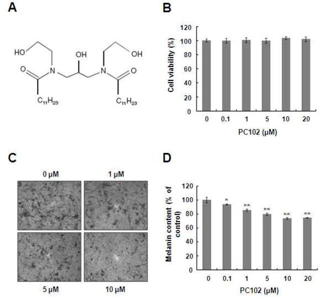 Ceramide PC102의 처리에 따르는 마우스 멜라닌세포의 멜라닌합성억제효과