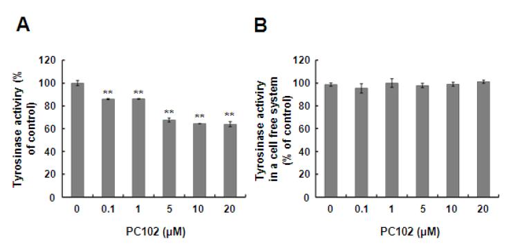 Ceramide PC102가 tyrosinase 활성에 미치는 효과