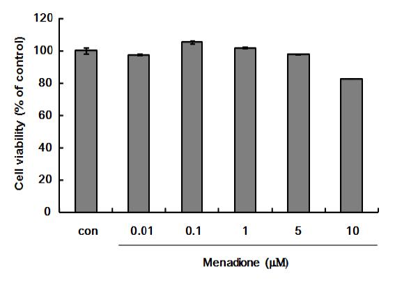 Menadione 처리에 따른 Mel-ab 세포에서의 독성