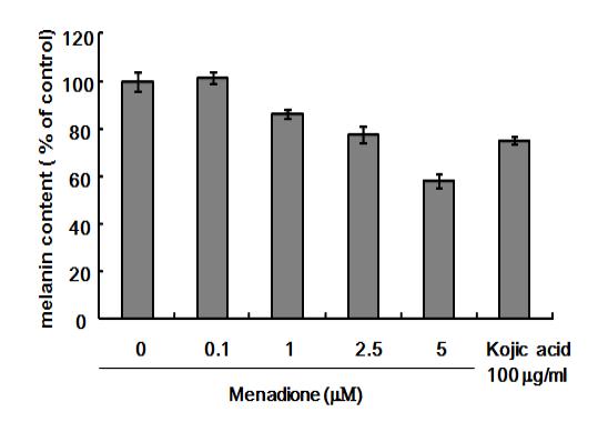 Menadione에 의한 멜라닌 생성 억제 작용