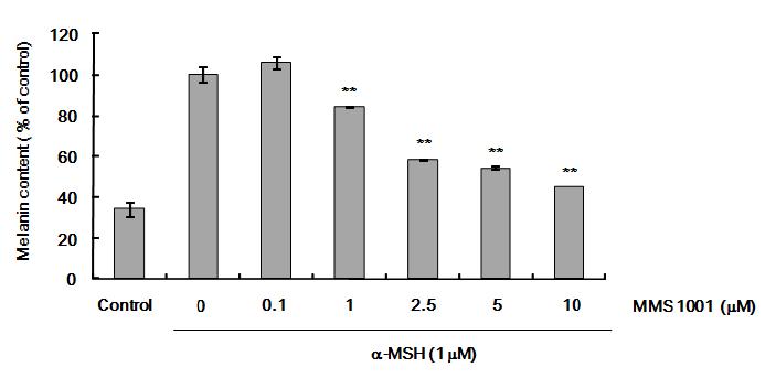 MMS 1001에 의한 멜라닌 생성 억제 작용
