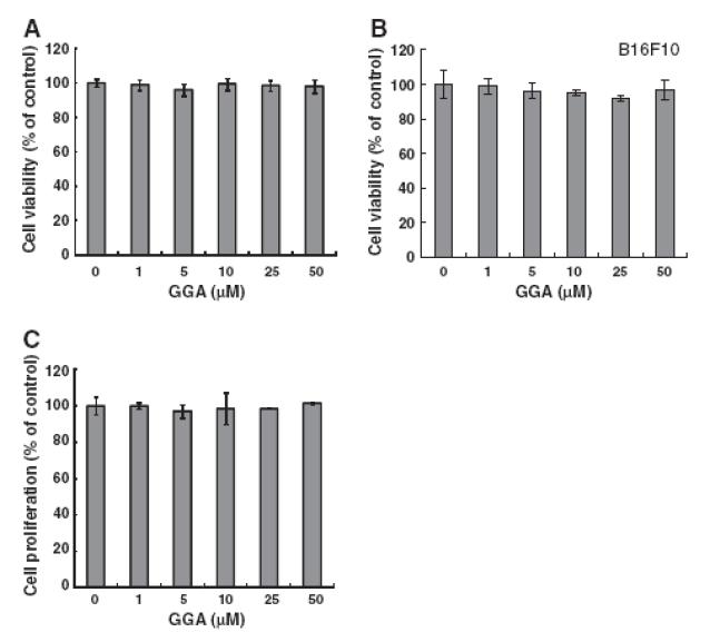 GGA처리에 따른 cell viability와 세포증식에 미치는 영향