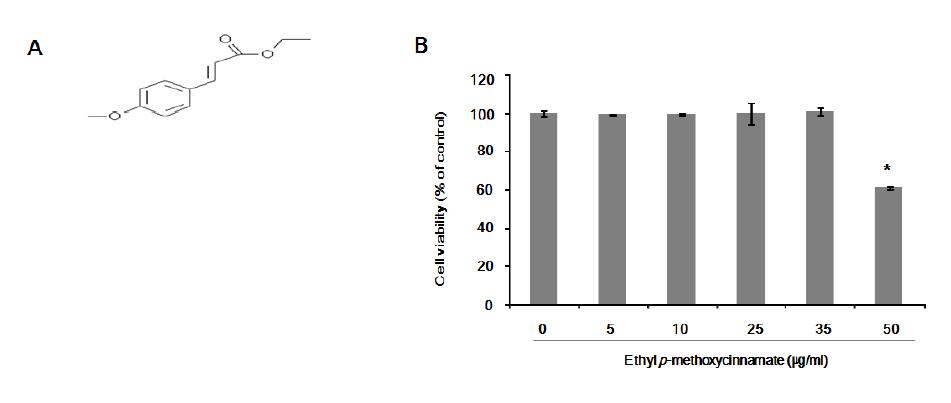 Ethyl-p-methoxycinnamate 구조와 B16F10세포에서의 독성 영향