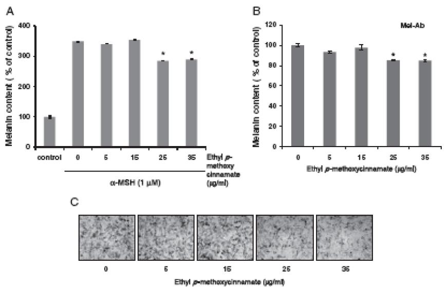 ethyl p-methoxycinnamate의 처리에 따른 멜라닌합성 억제효과