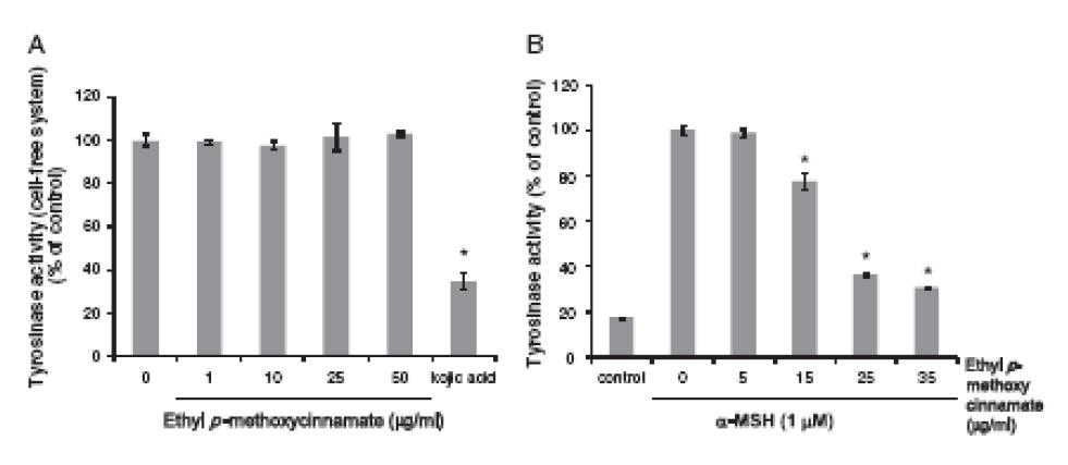 thyl p-methoxycinnamate에 의한 tyrosinase의 활성의 저해효과