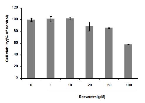 Resveratrol처리에 따른 Mel-ab 세포에서의 독성