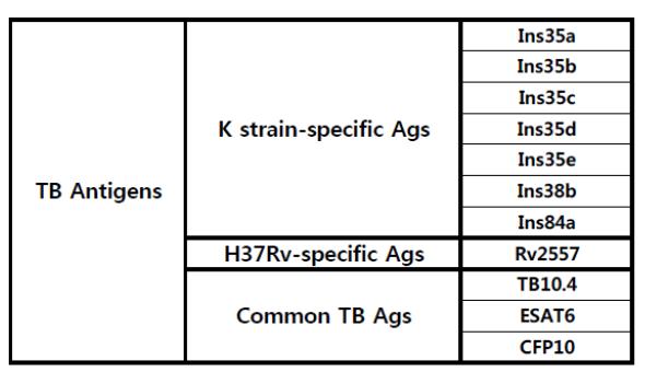 PBMC 자극에 사용된 결핵항원들