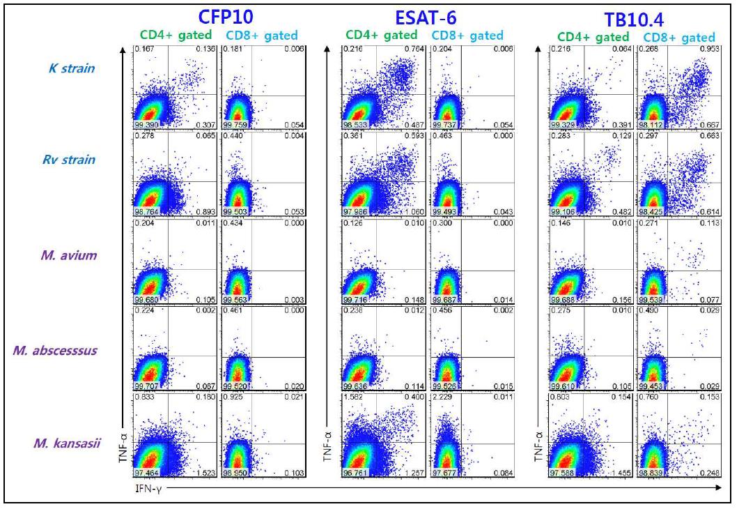 MTB 및 NTM에 대한 결핵항원 자극 후 IFN-g 및 TNF-a 생성세포의 분석