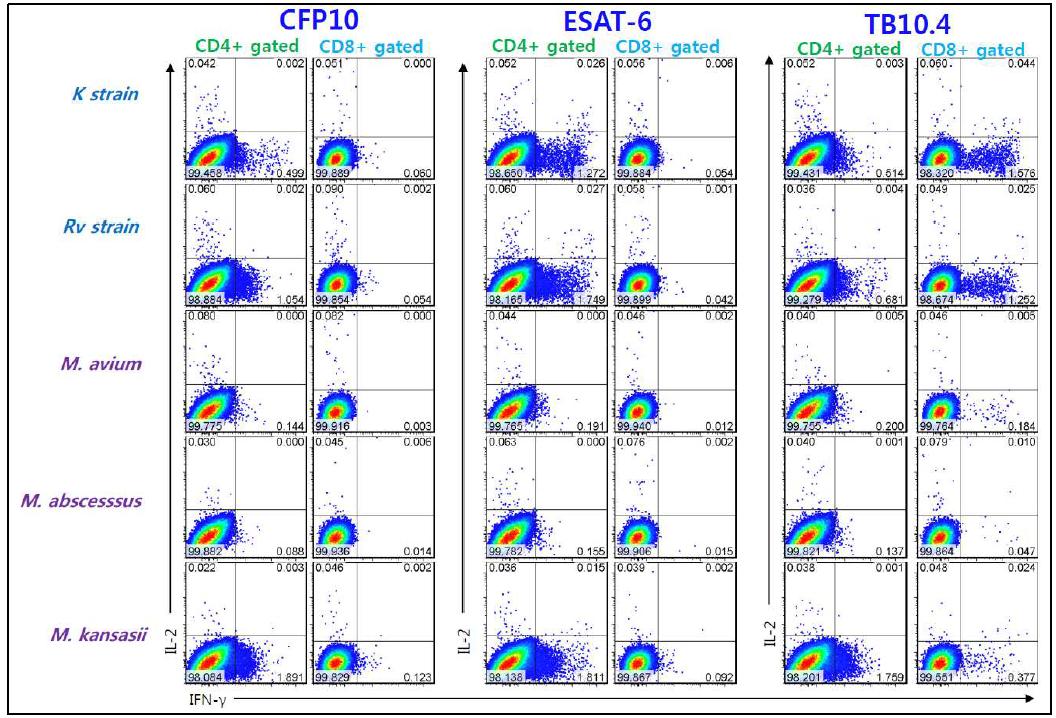 MTB 및 NTM에 대한 결핵항원 자극 후 IFN-g 및 IL-2 생성세포의 분석
