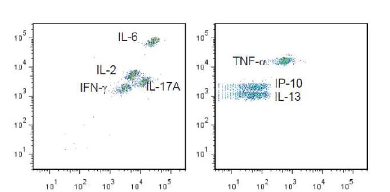 Cytokine Multiplex 측정법에 사용된 사이토카인 7종에 대한 분석 예