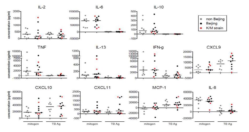 Cytokine Multiplex 측정법을 이용한 결핵균주 별 세포면역반응 분석