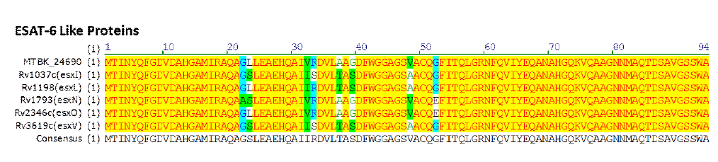 Alignment of MTBK_24690 compared with its related family proteins in M. tuberculosis H37Rv.